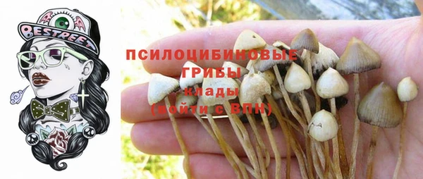 прущая мука Каменногорск