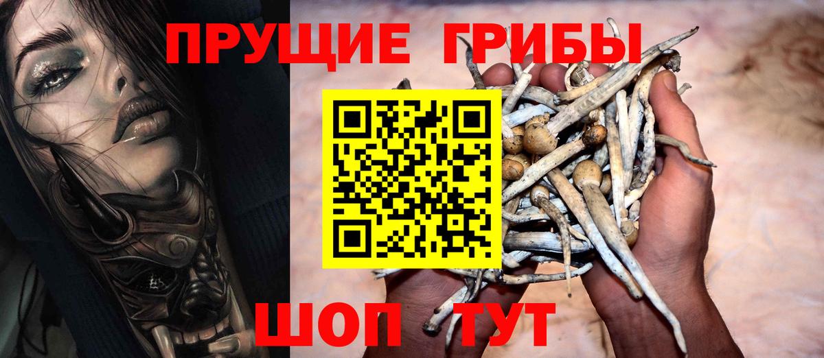 Домодедово  Псилоцибиновые грибы мухоморы  Вход с VPN  Псилоцибиновые грибы Psilocybe 