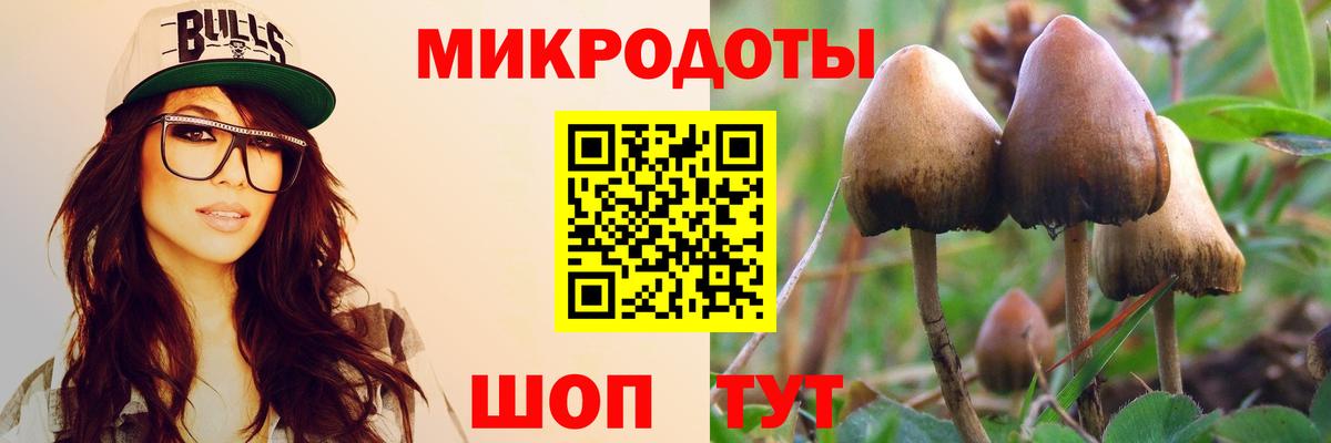 Галлюциногенные грибы MAGIC MUSHROOMS Домодедово